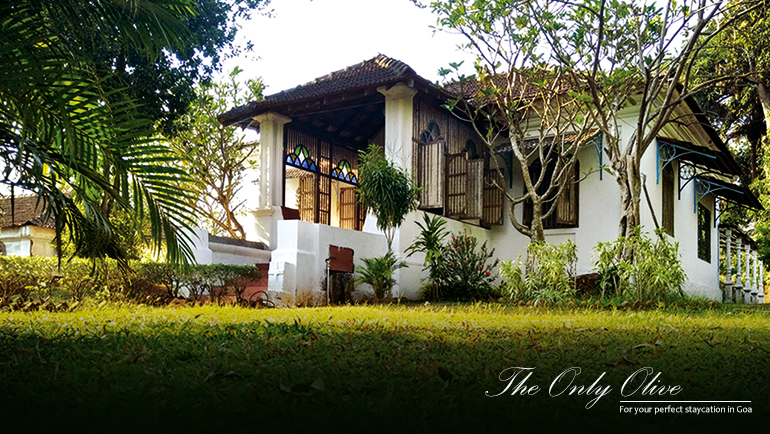 Bed and Breakfast, The Only Olive, Goa