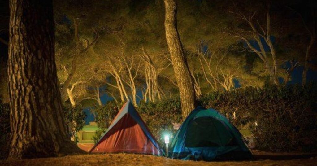 15 best campsites in India- Jim Corbett