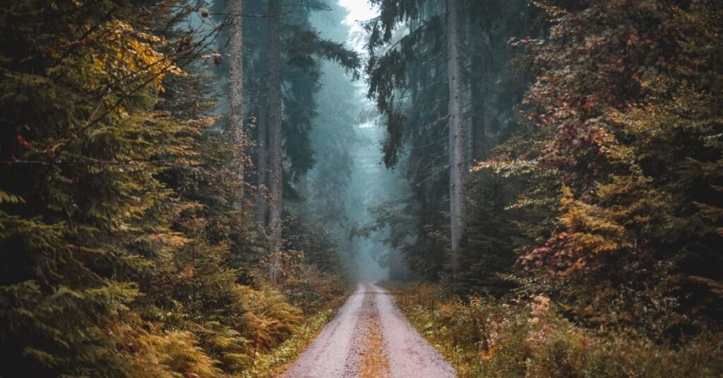 Adventure Sports in Assam