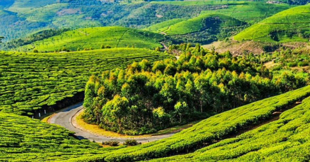 best south indian road trips