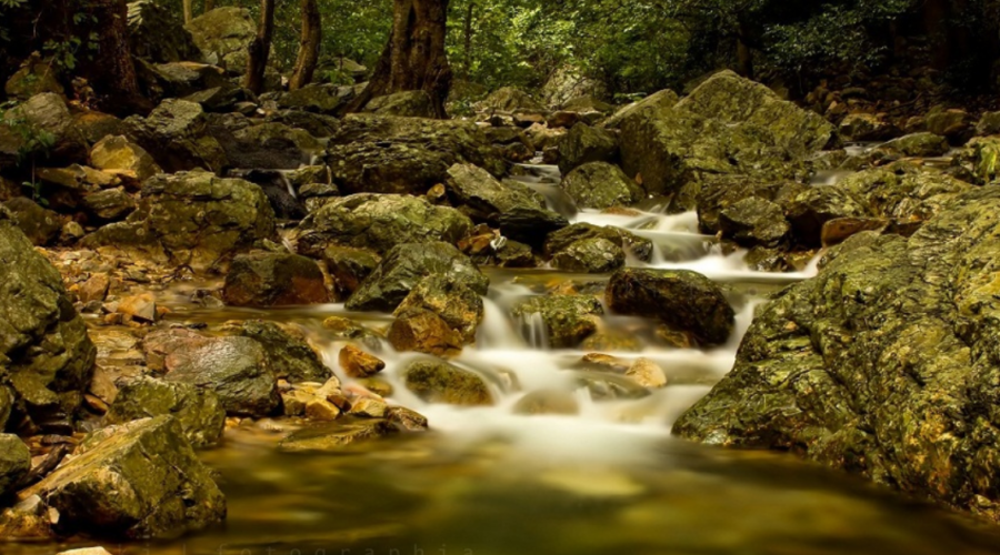 Ubbalamadugu Falls