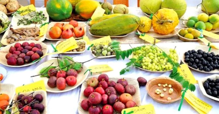 Konkan Fruit Festival: Feast of Goa - India Chalk