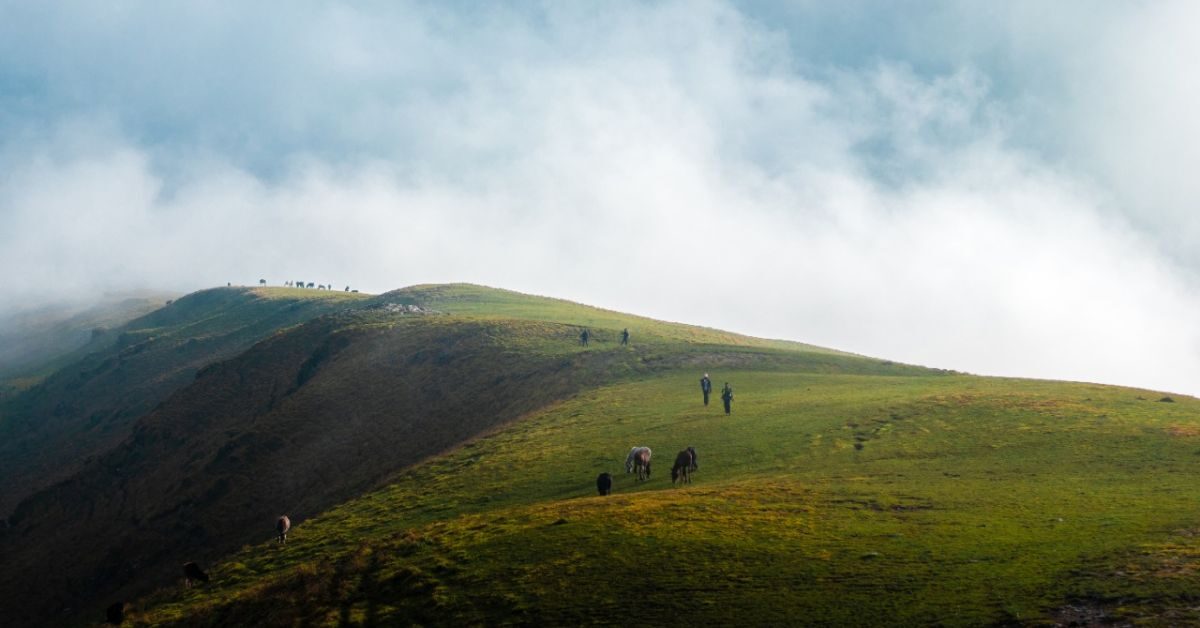 North India Trek, Bugayal Trekking